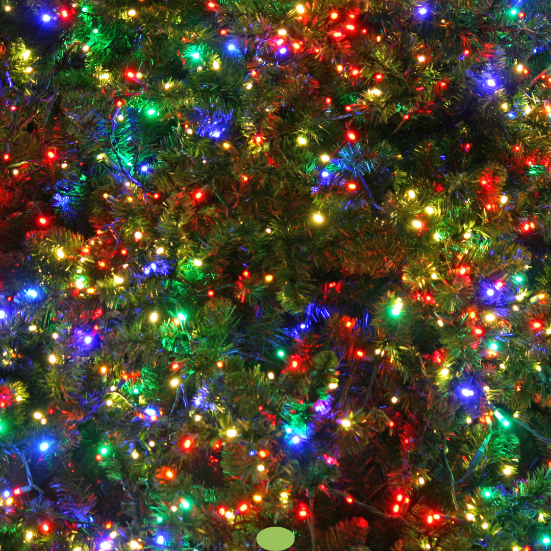 Eco-Friendly Gifts for the Holidays